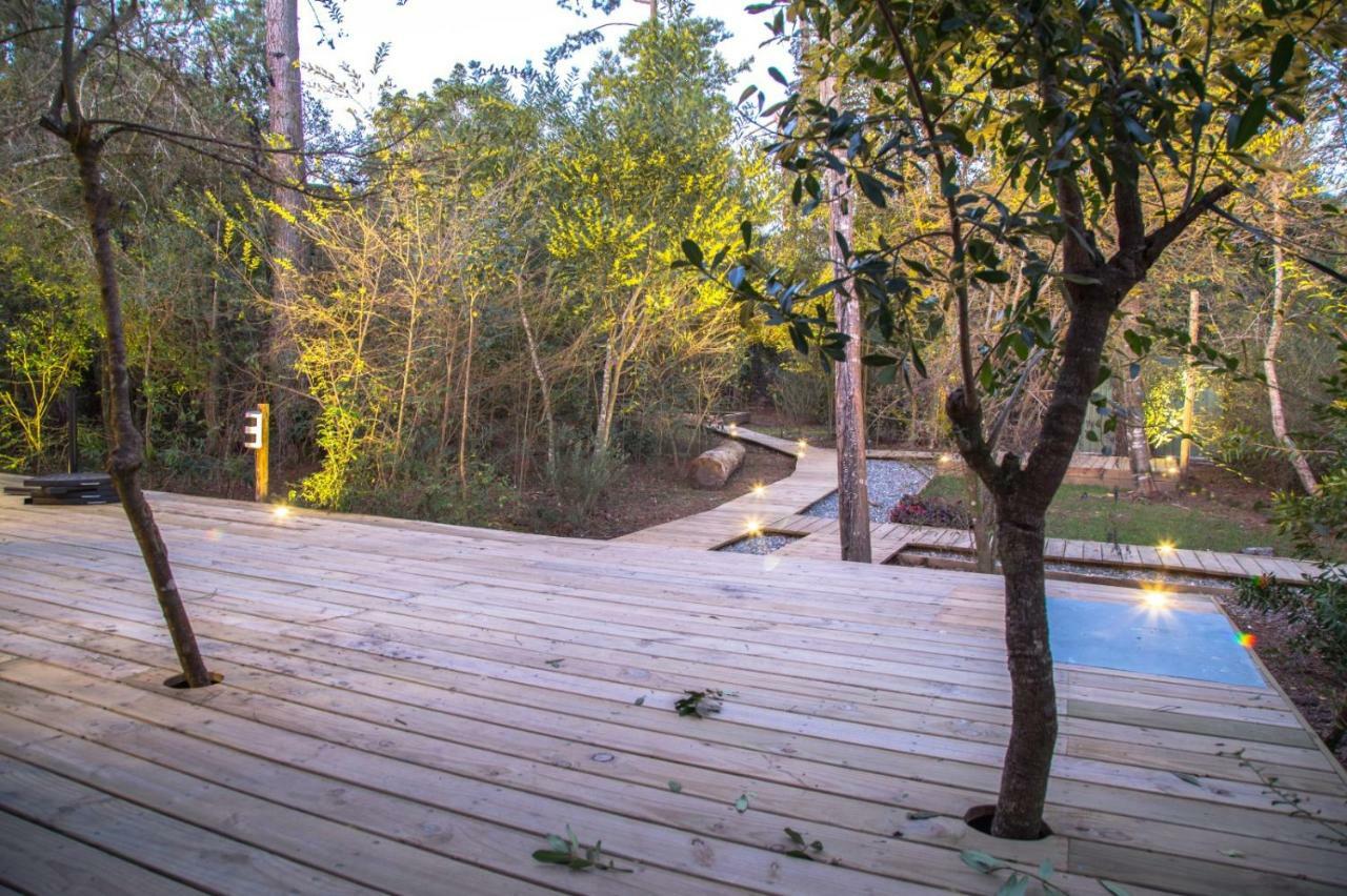 Sisepuede Villa Ocean Park Exterior photo